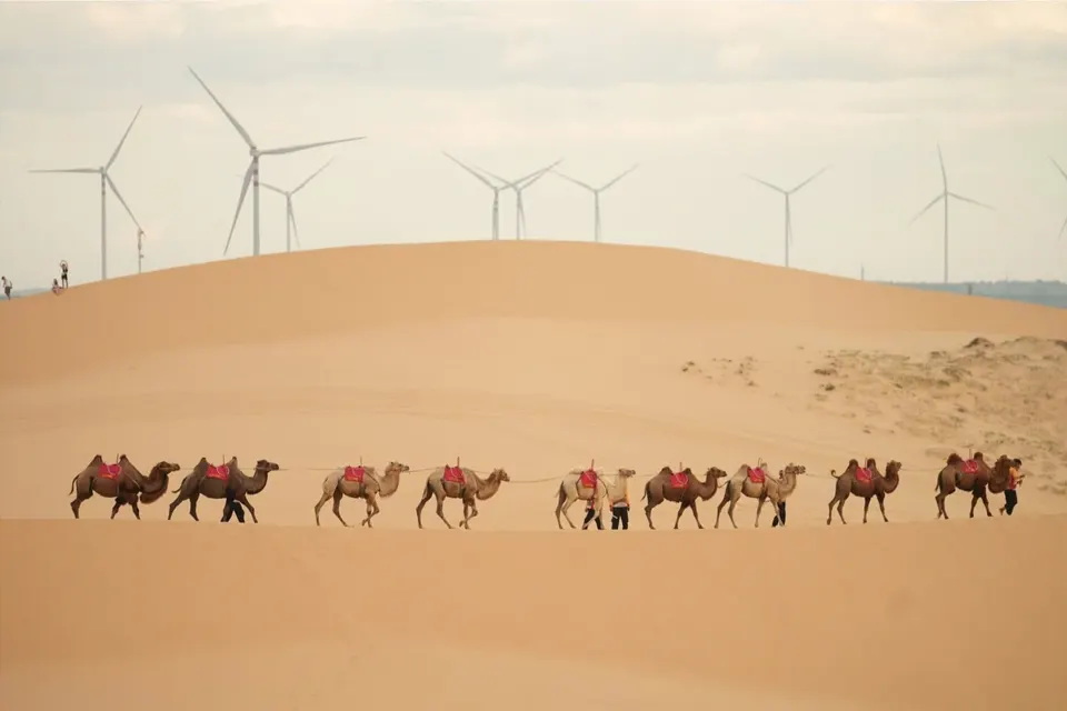 Atv trekking bàu trắng