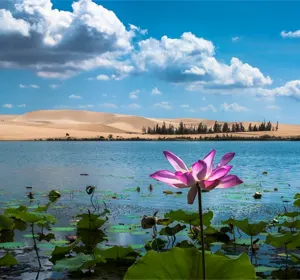 Bờ Hồ Bàu Sen