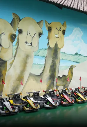Đua xe Go Kart
